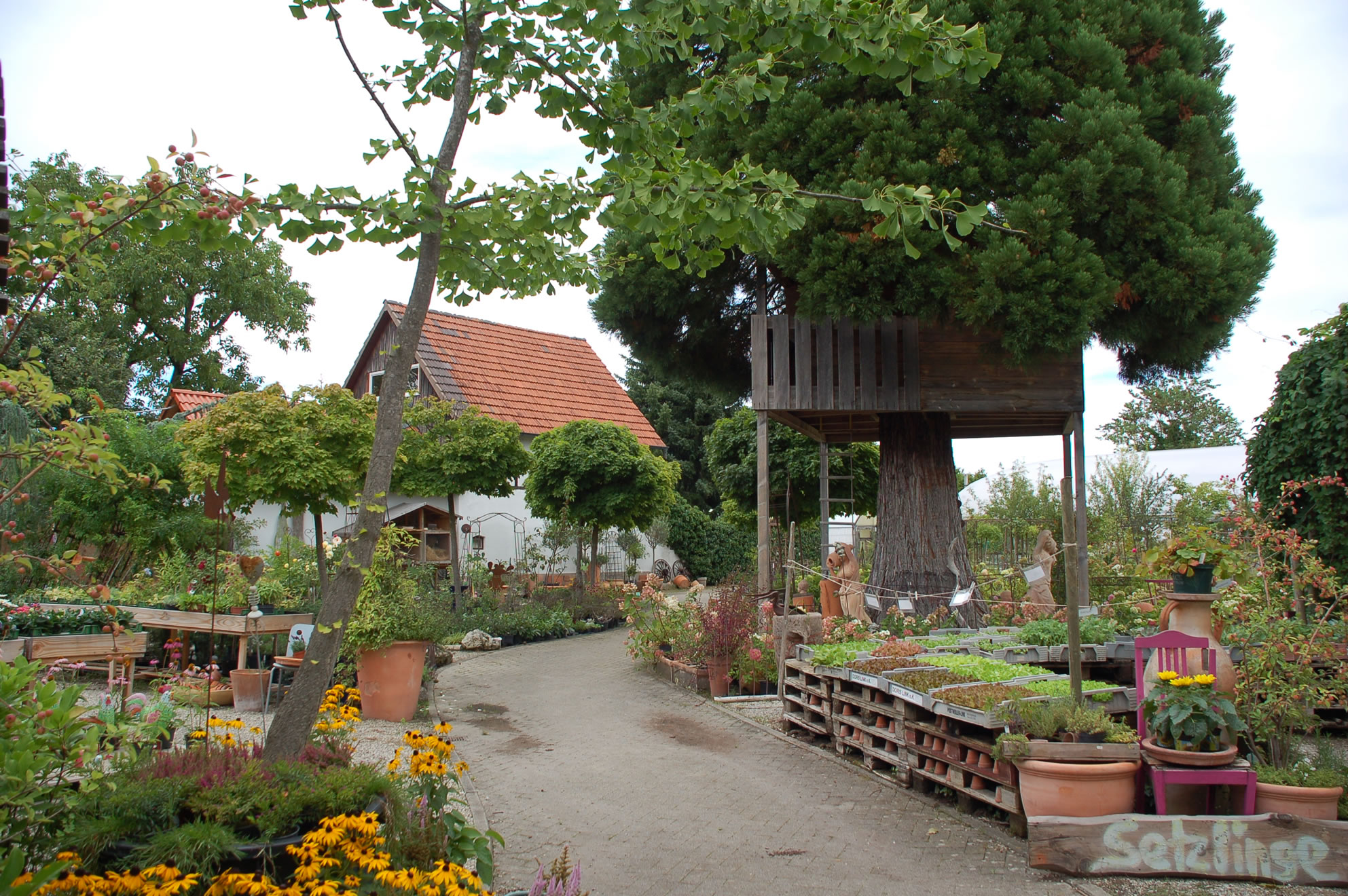 Kirschenmann Freiverkaufsflaeche (2)